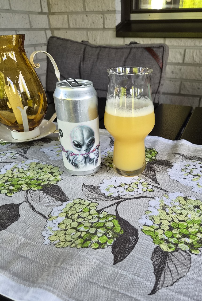 Operation Gnome [26.02] - RaR, Azvex Brewing Company