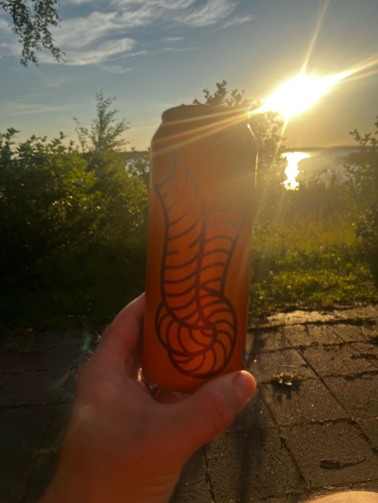 Meidän Veikko Pitää Vaahtopäistä / Veikko IPA, Finland