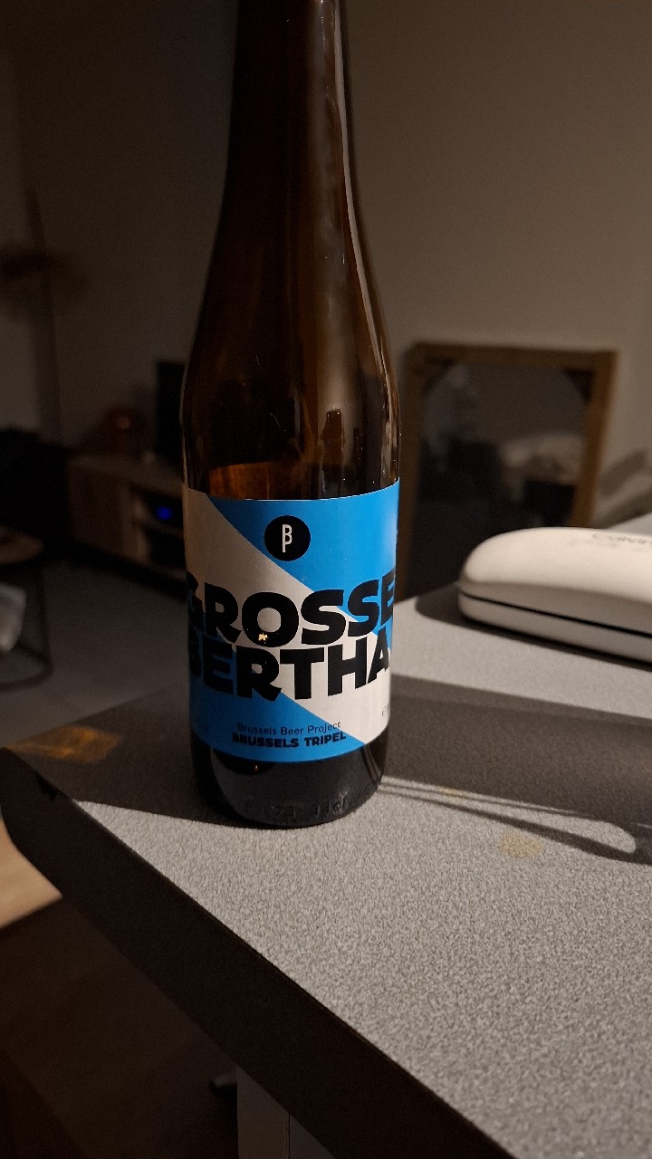 Grosse Bertha, Belgium