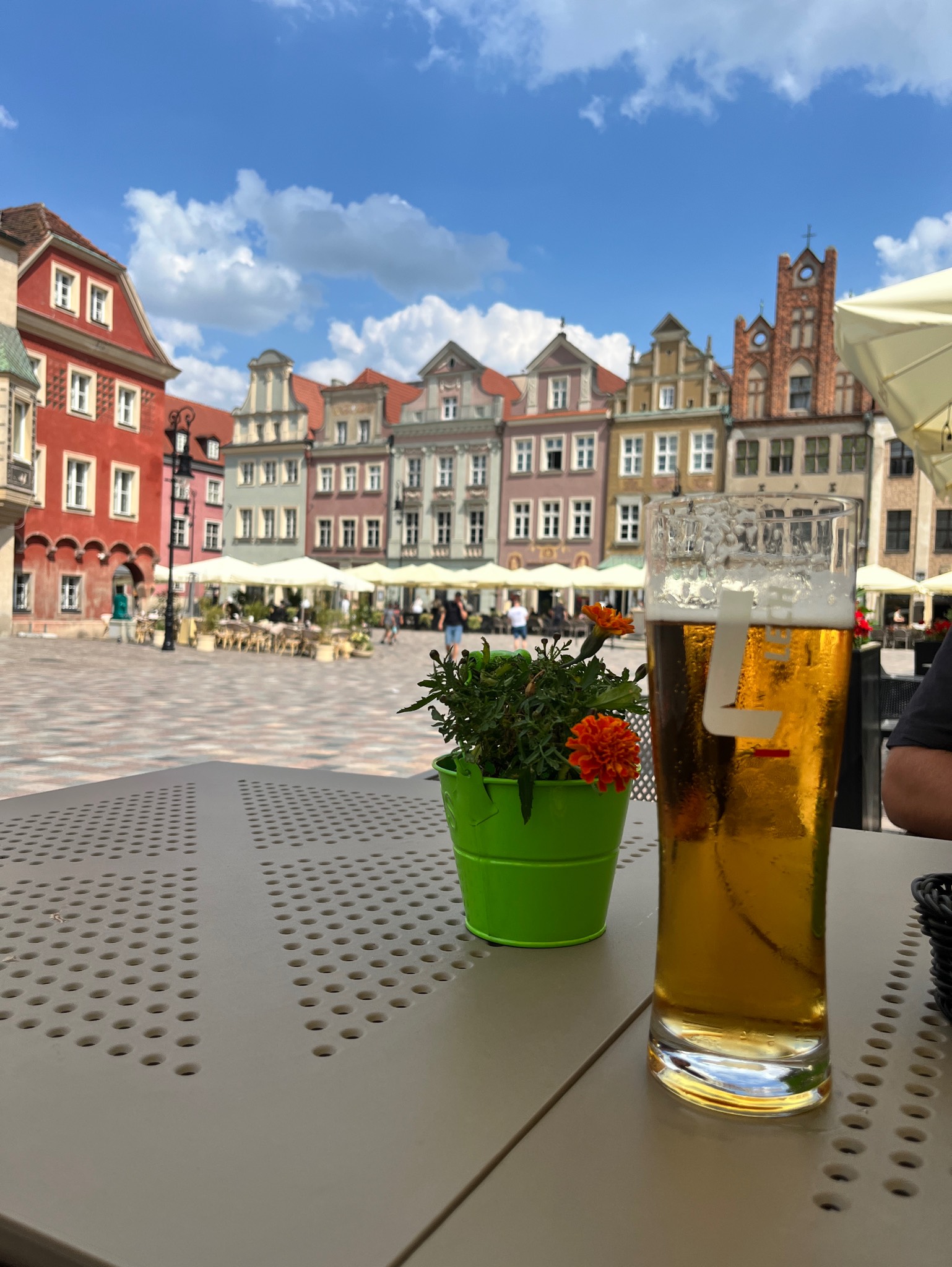 Lech Premium, Poland