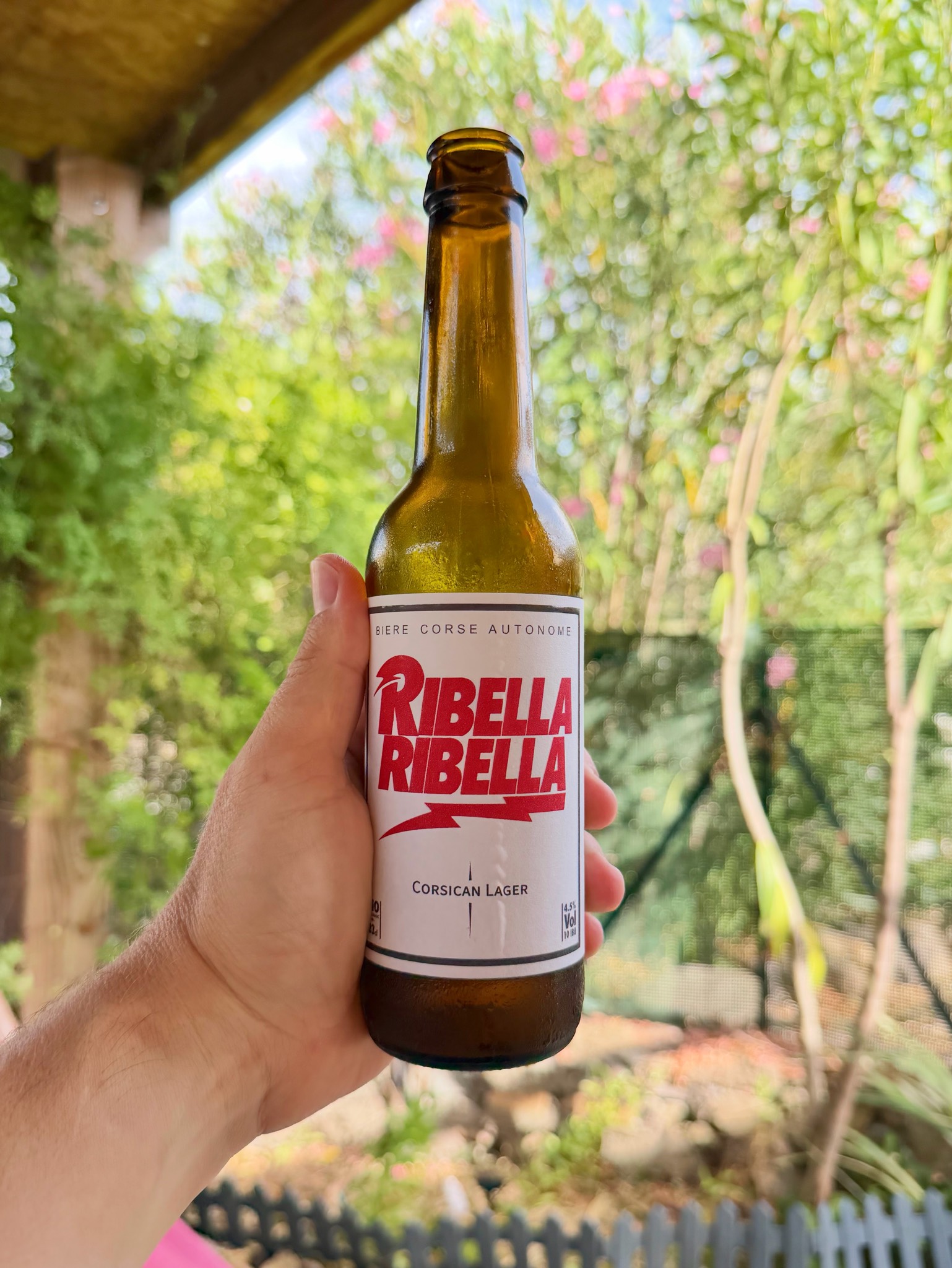 Ribella Ribella, Ribella