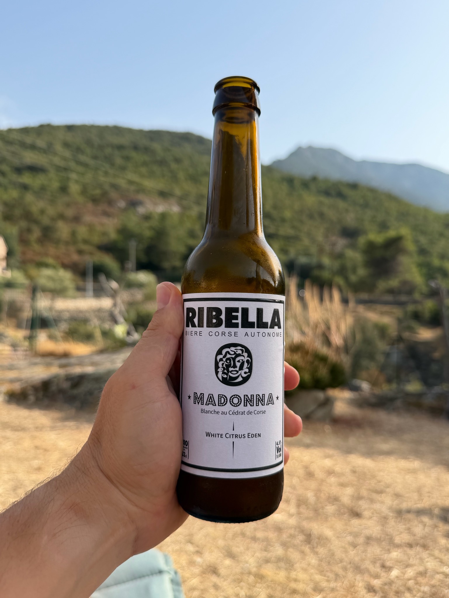 Madonna, Ribella