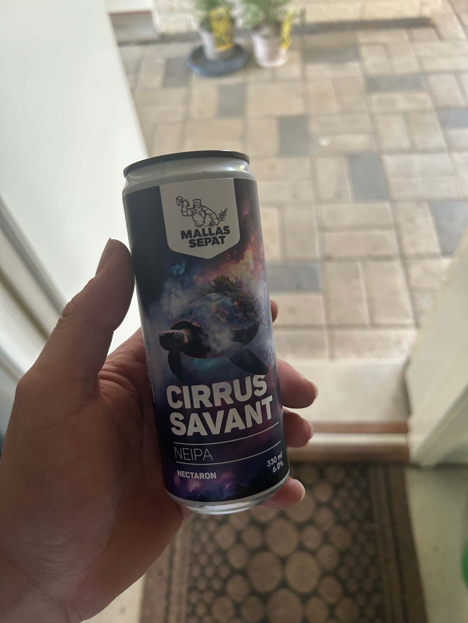 Cirrus Savant, Finland