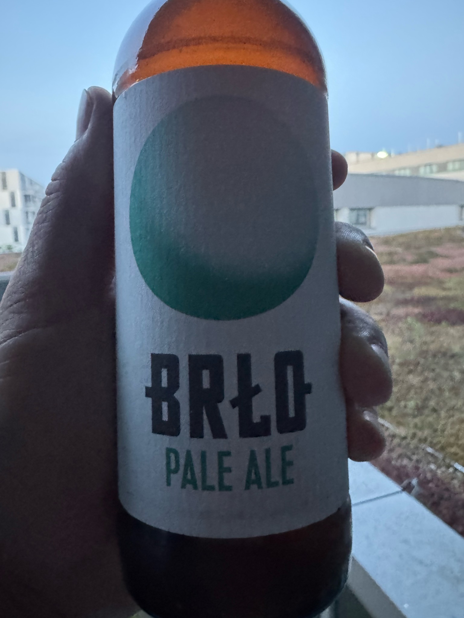 BRLO Pale Ale, BRLO