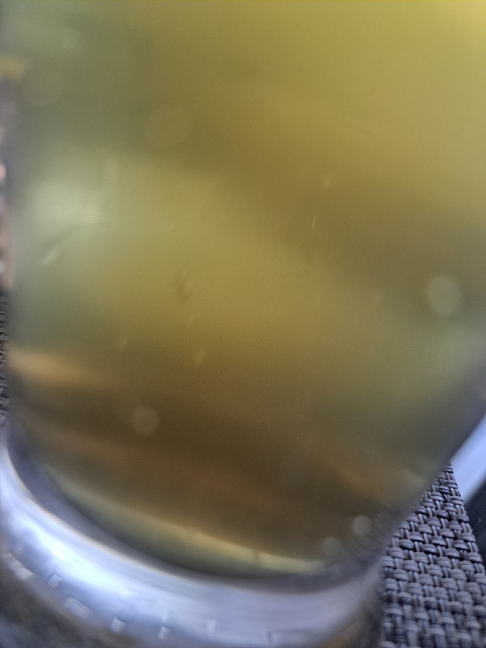 Folke West Coast Pils, Finland