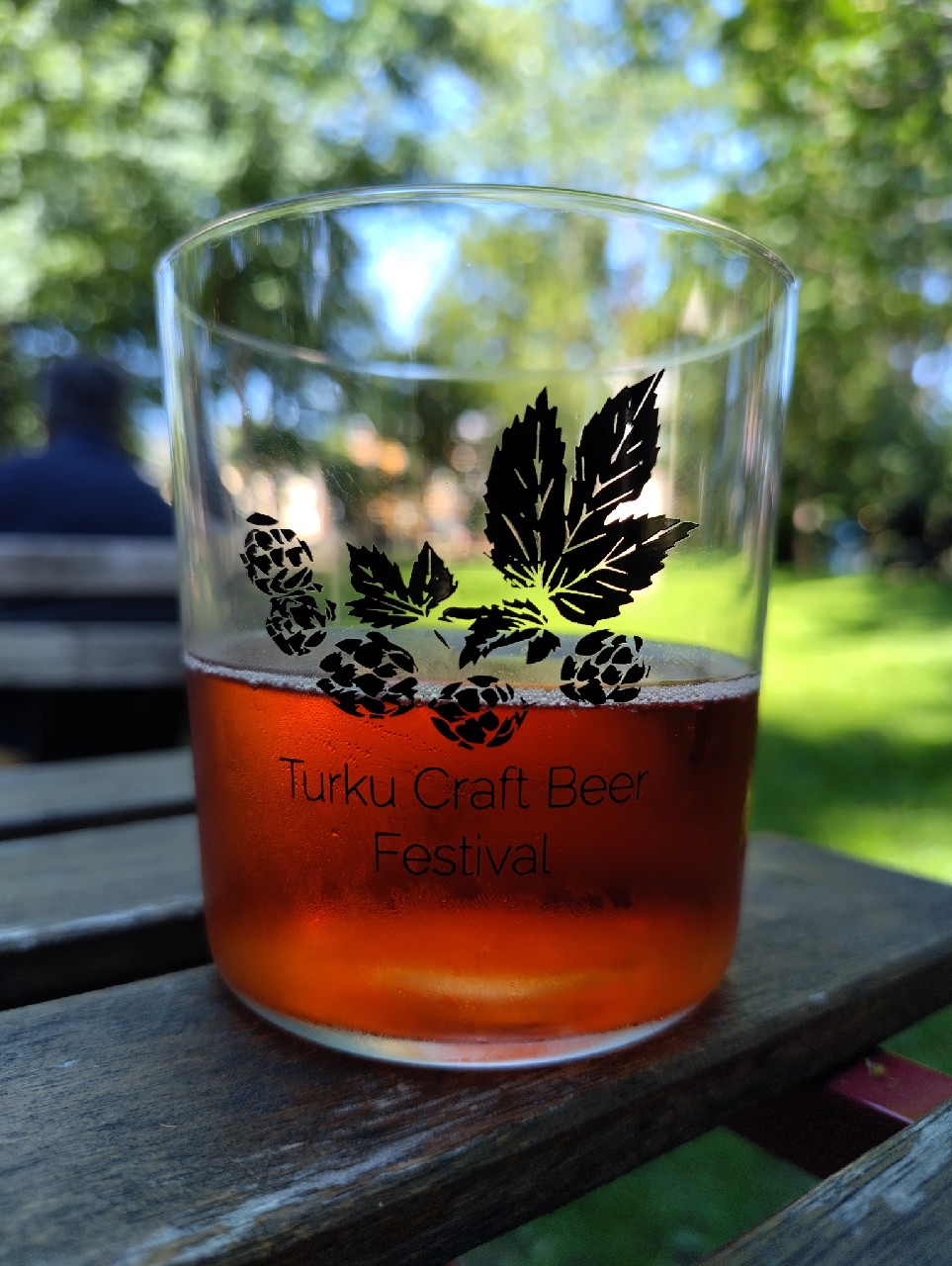 Choke Me Gently Chokeberry & Wild Apple Cider, Vaski Cider