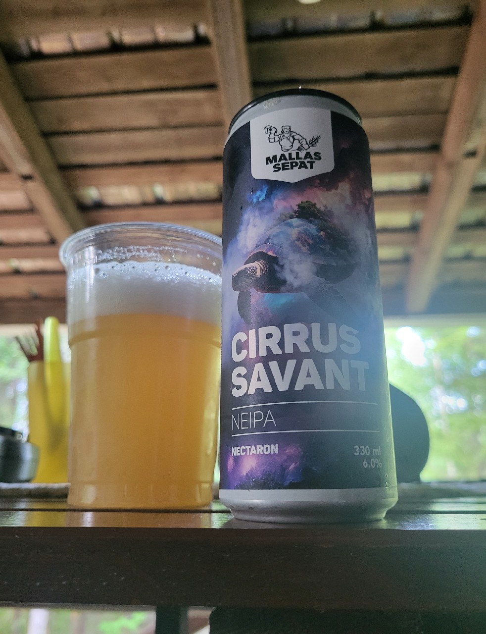 Cirrus Savant, Finland