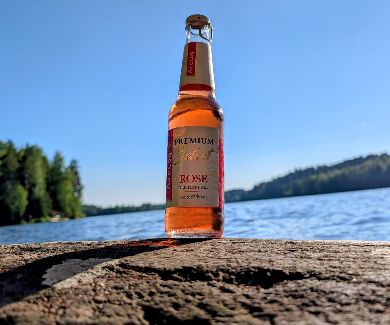 Premium select rose, Estonia