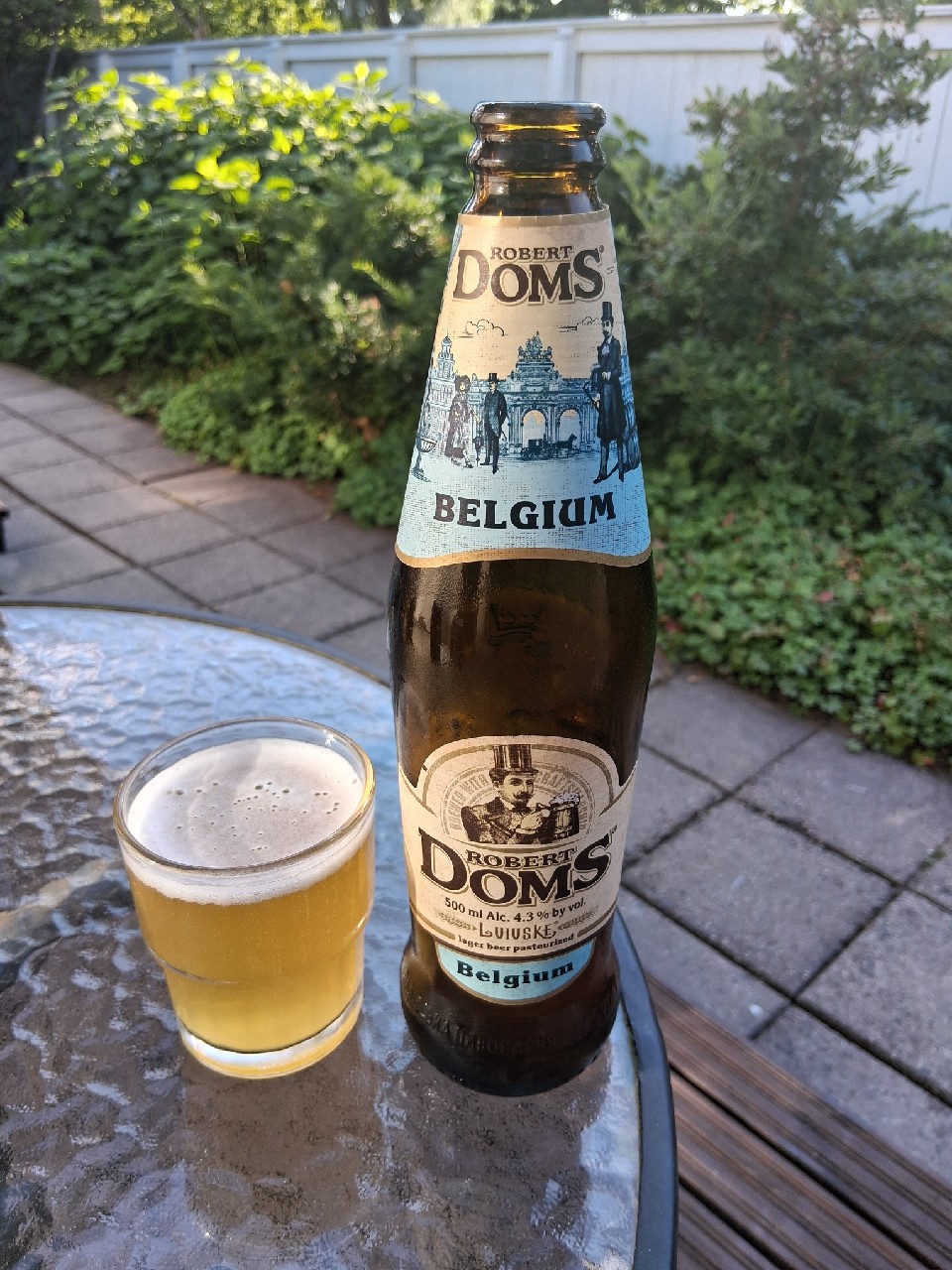 Robert Doms Belgiiskiy / Бельгійський, Ukraine