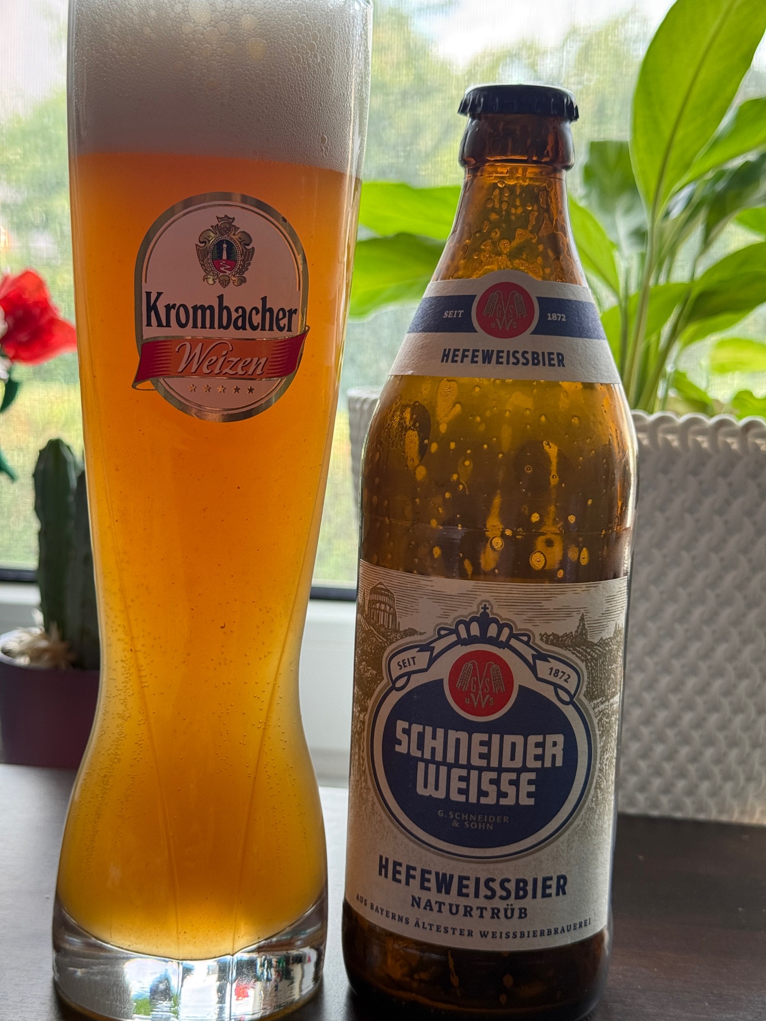 Helle Weisse (TAP01), Germany