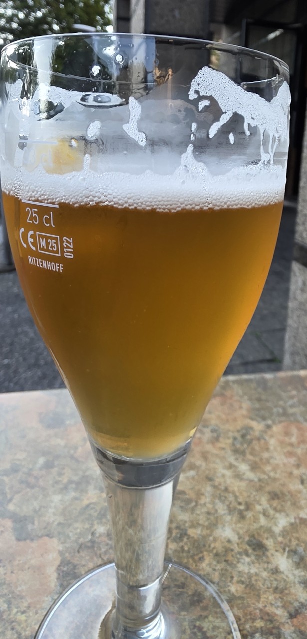 Gouden Carolus Hopsinjoor, Belgium