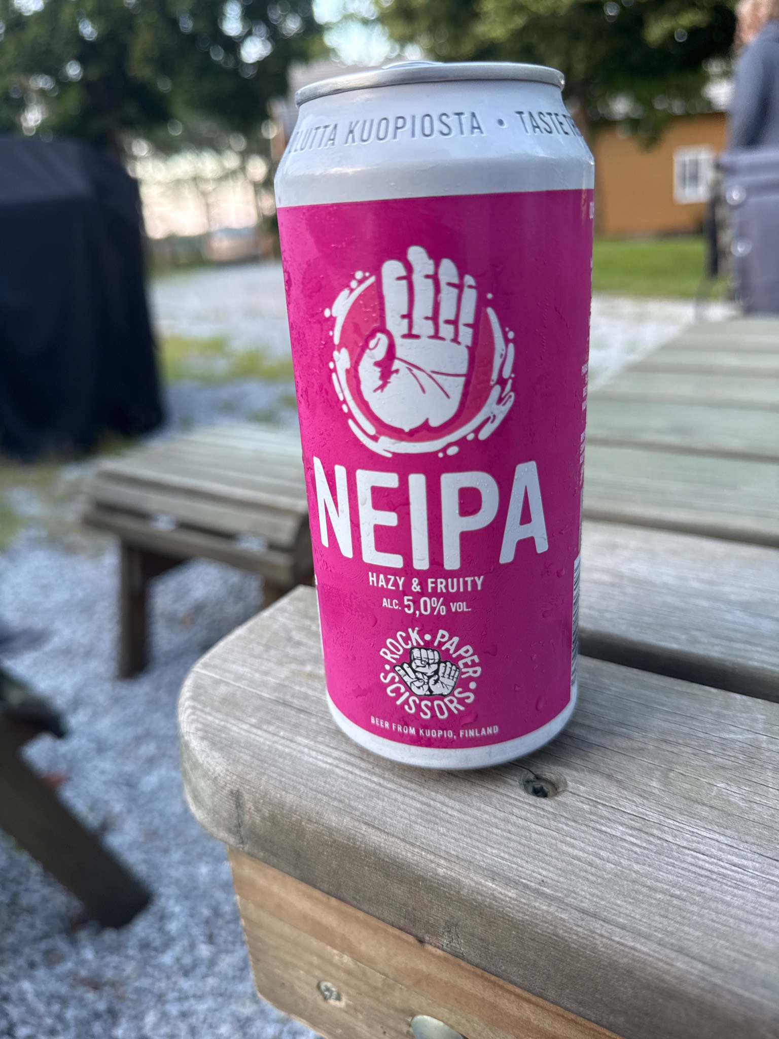 Paper NEIPA, Finland