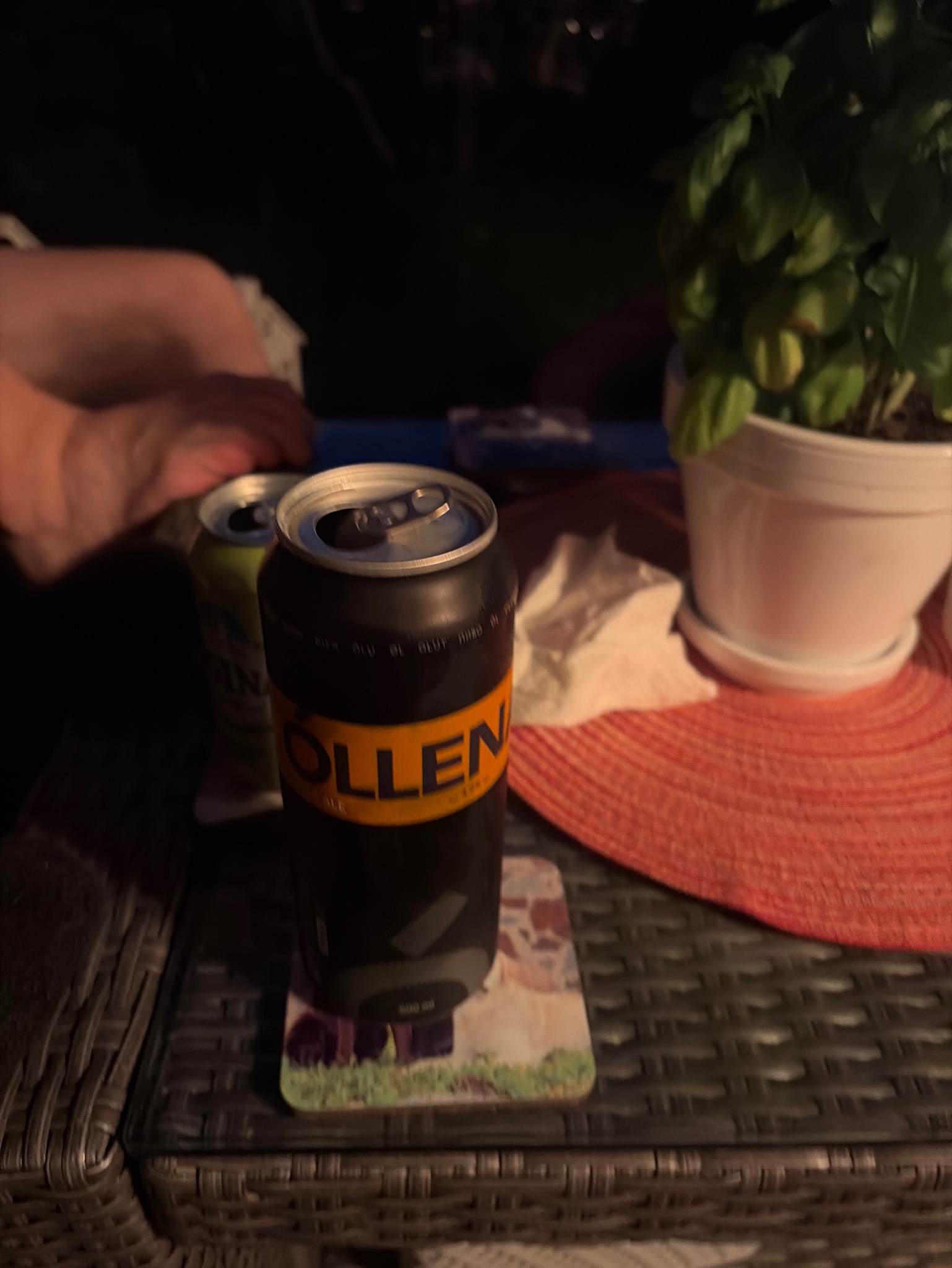 Óllenaut pale ALE, Estonia