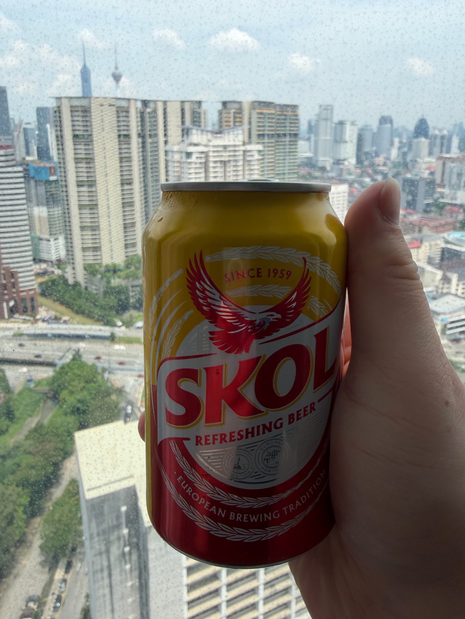Skol, Ambev (AB InBev)