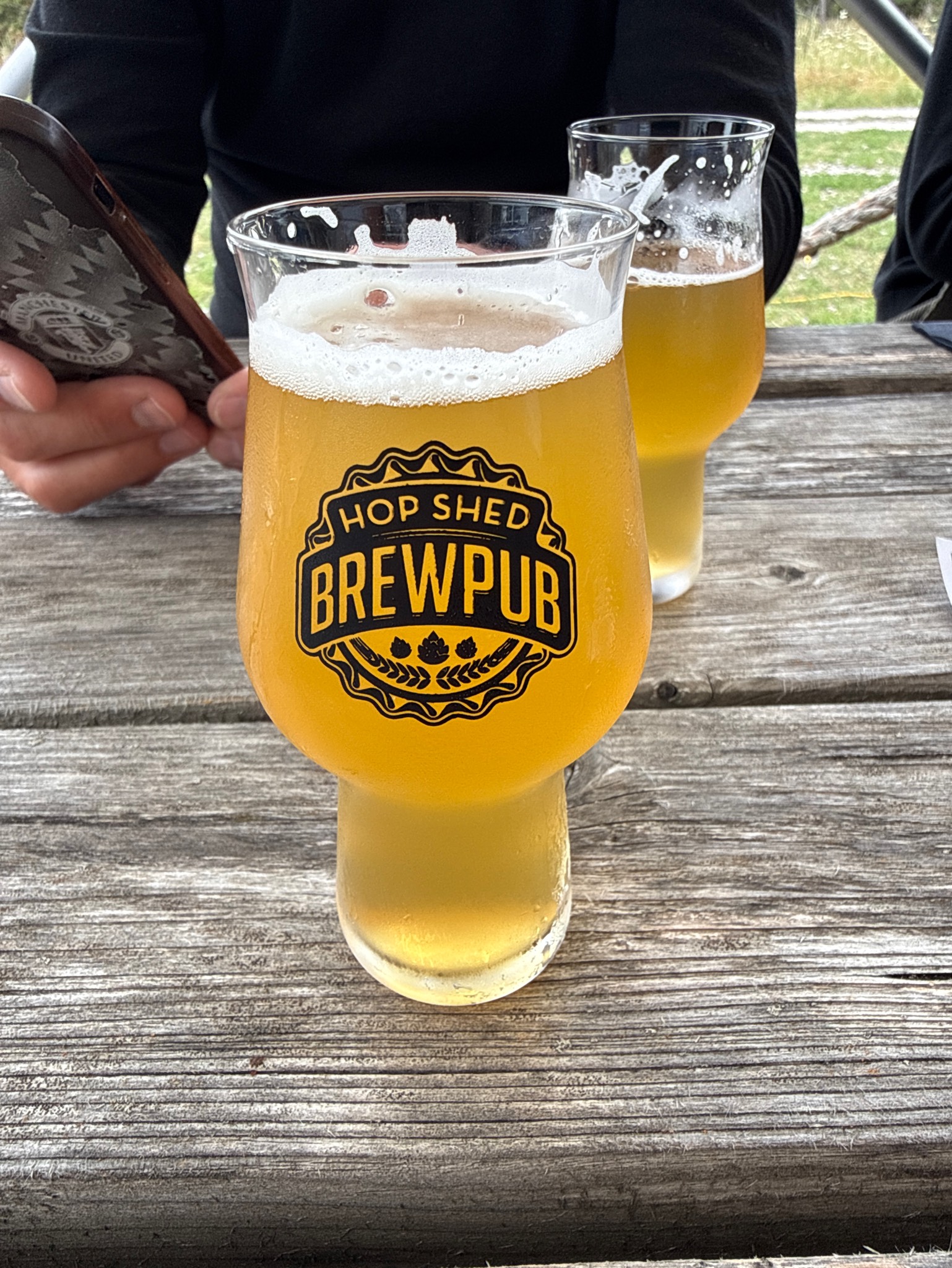 Celebration IPA, 2026, Ljugarns Brygghus