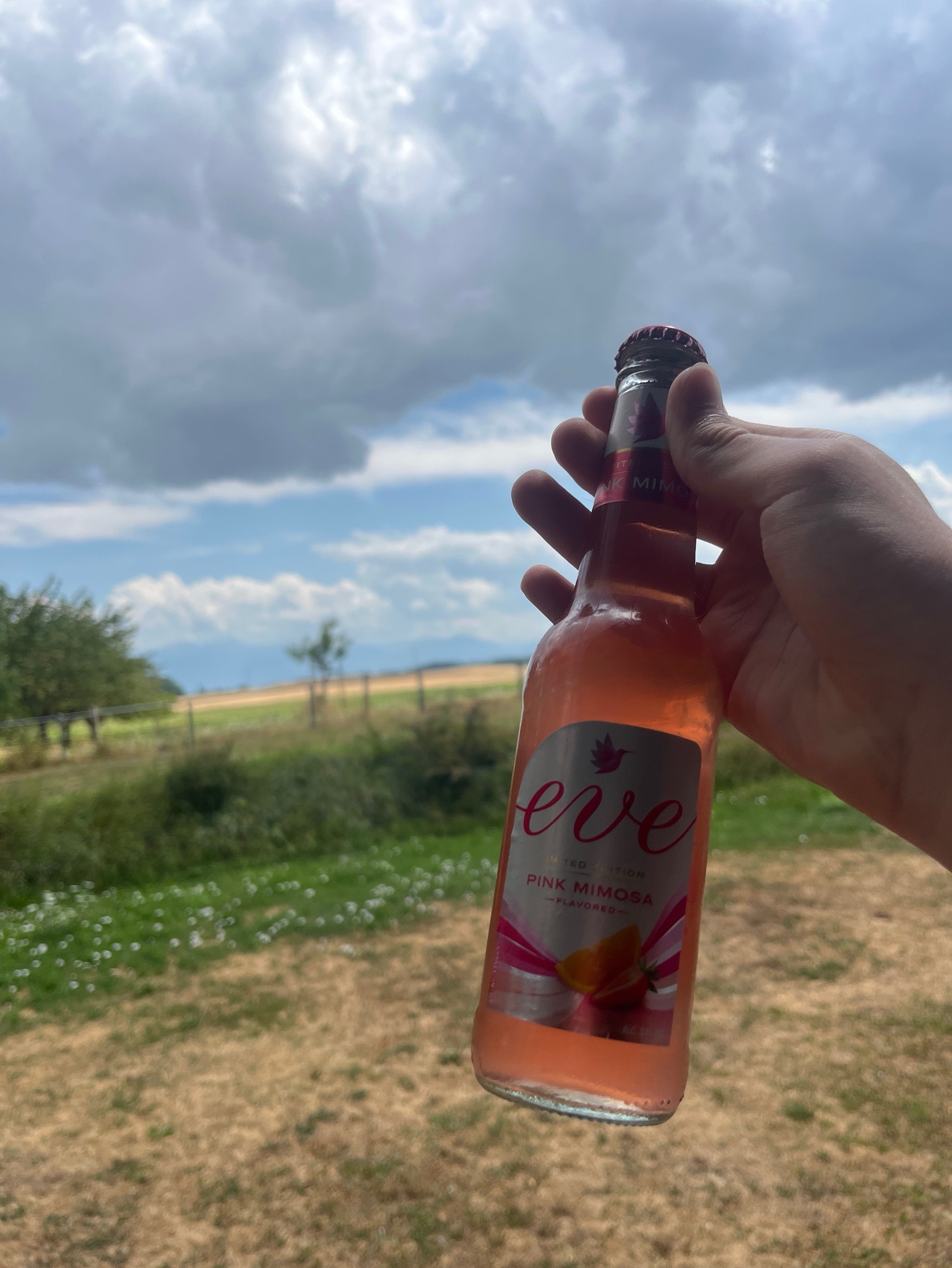 Eve Pink Mimosa, Feldschlösschen (Carlsberg)