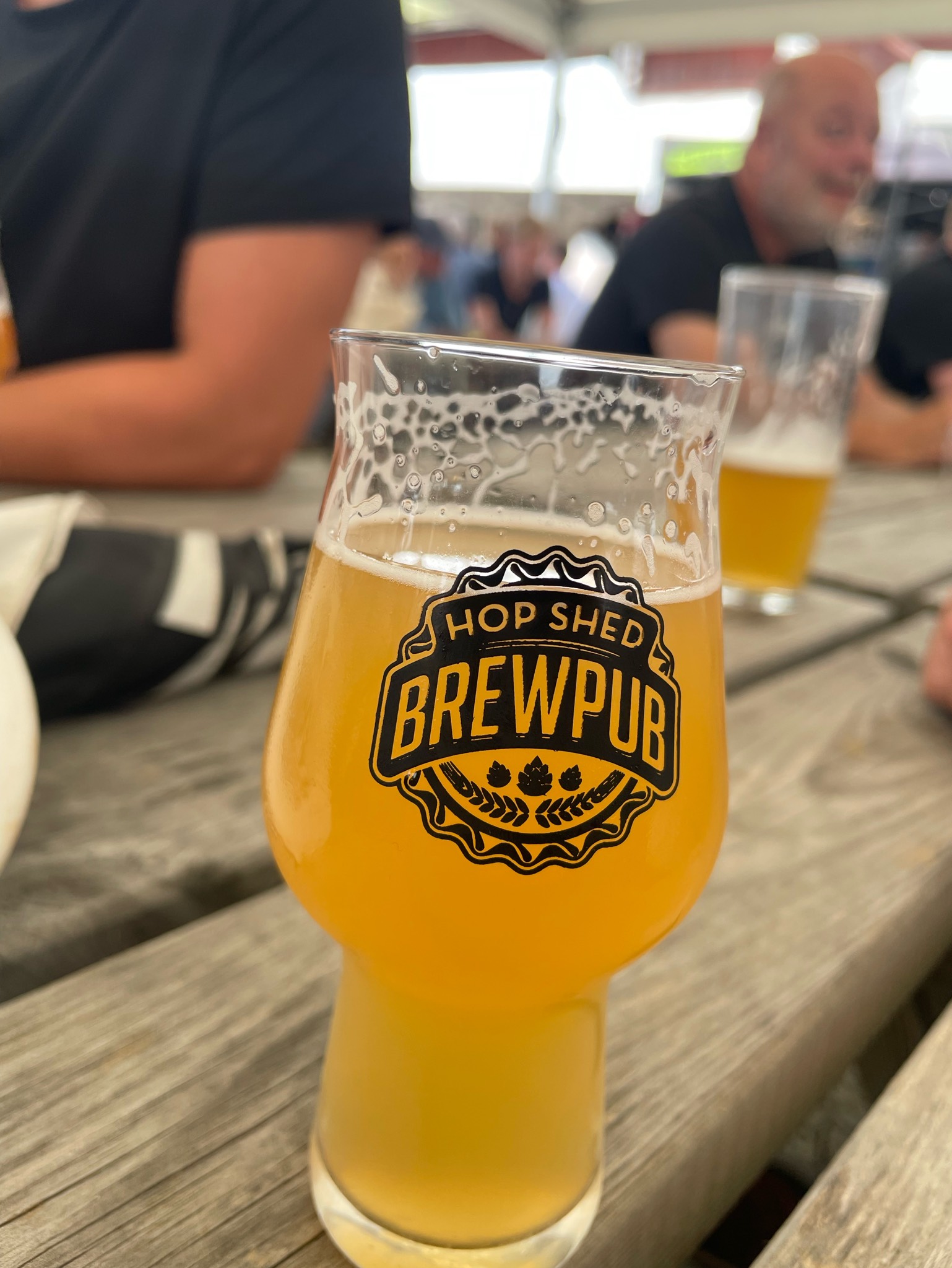 Pina colada pale ale, Hop Shed Brewery