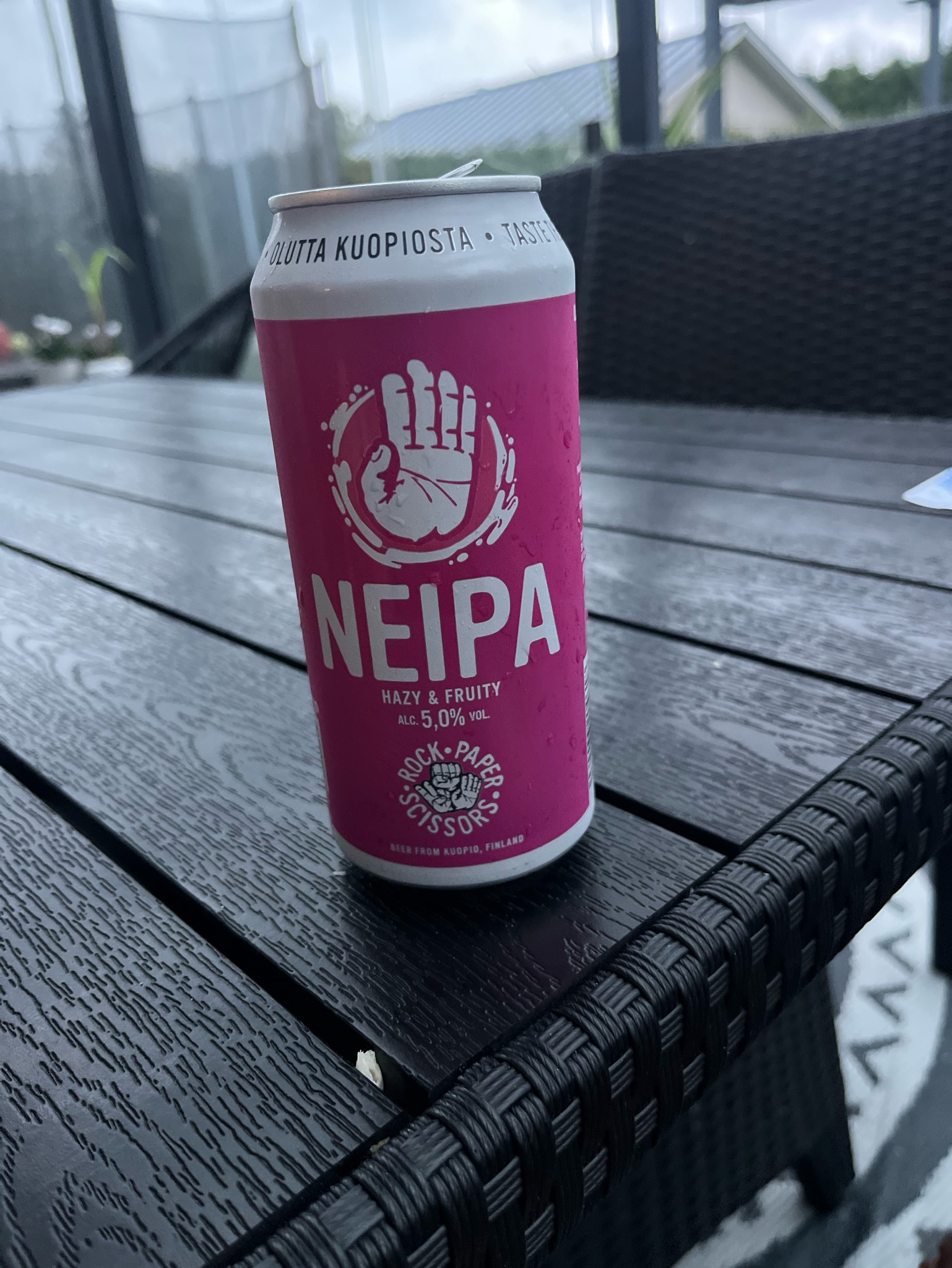 Paper NEIPA, Finland