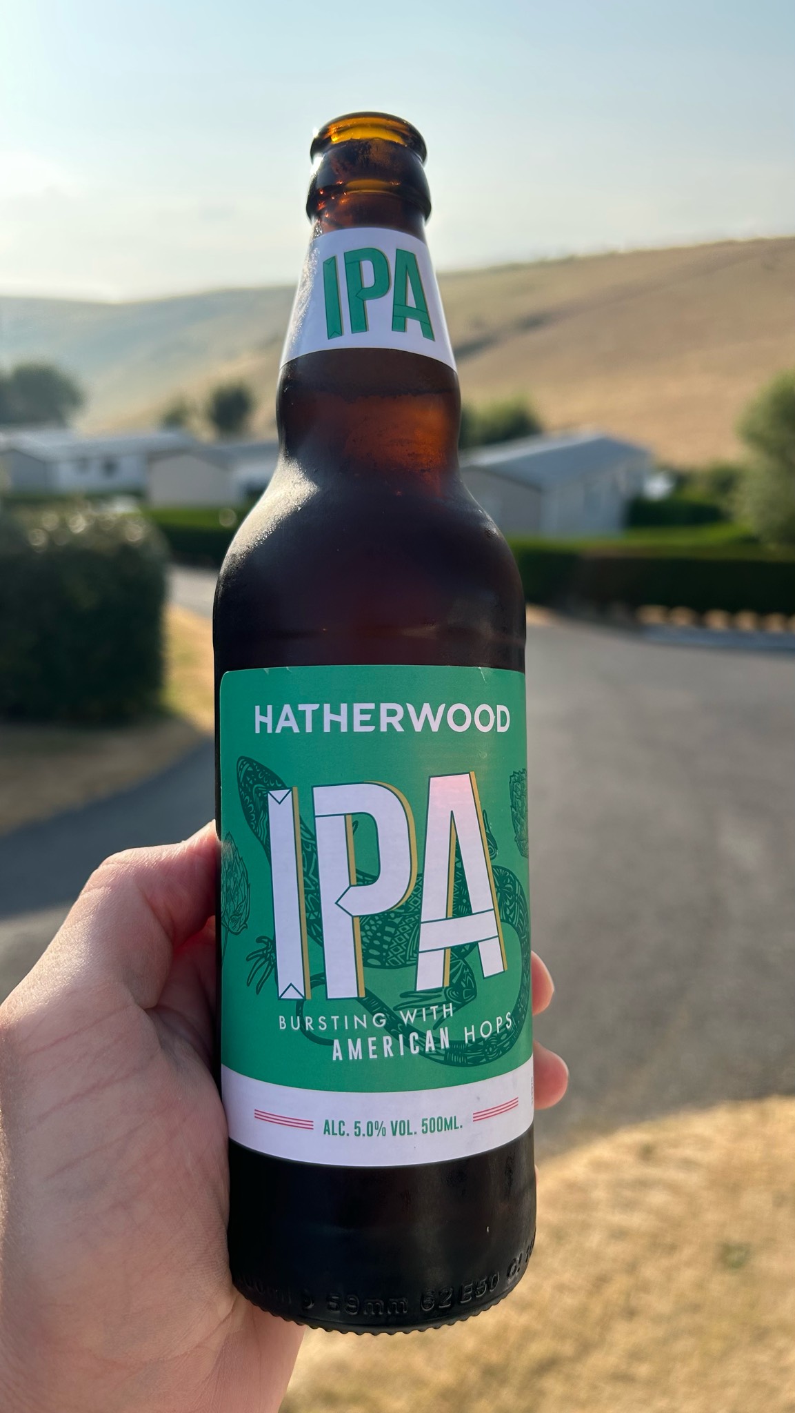 Hatherwood Craft Beer Company The Green Gecko No 2, Lidl Stores UK