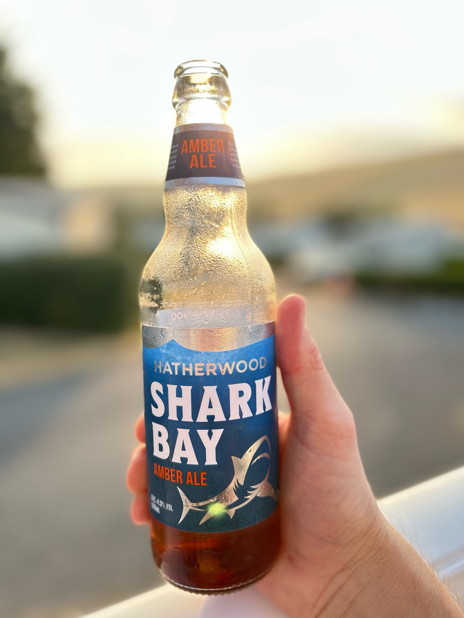 Hatherwood Shark Bay, Lidl Stores UK