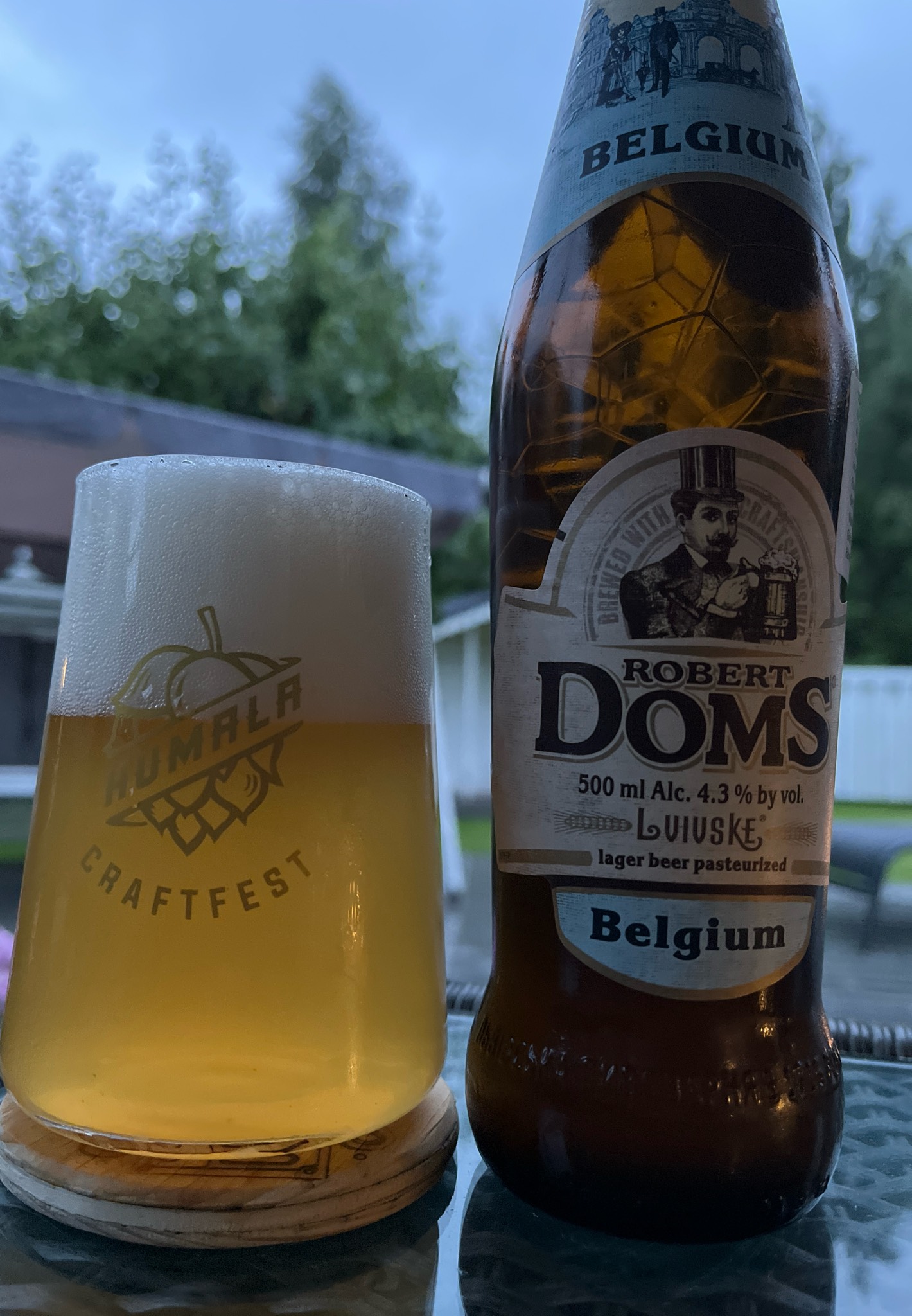 Robert Doms Belgiiskiy / Бельгійський, Ukraine