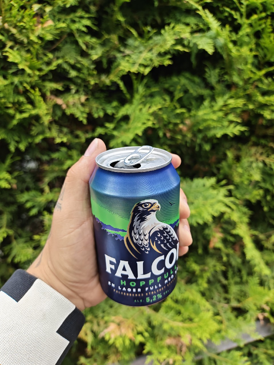 Falcon Hoppfull, Sweden