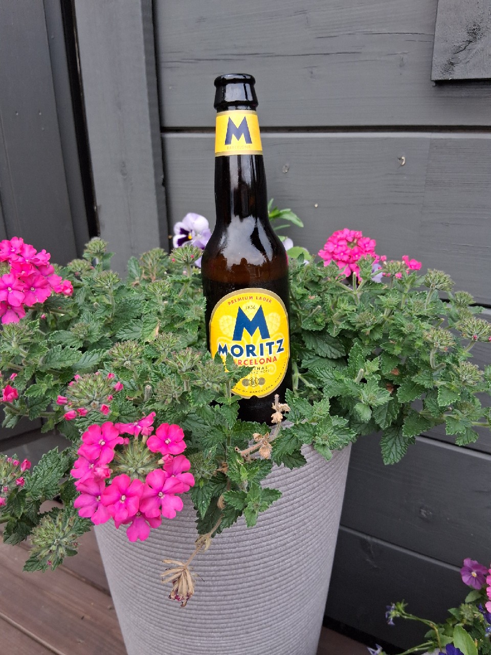 Moritz Original, Cervezas Moritz
