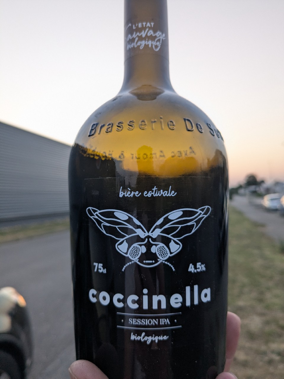Coccinella, France