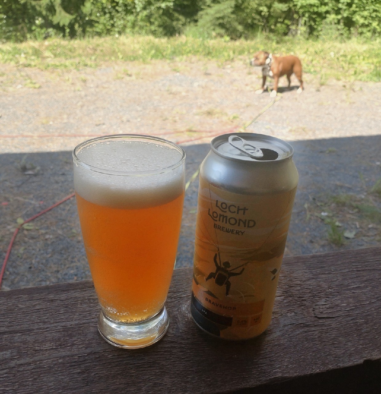 Bravehop, Scotland