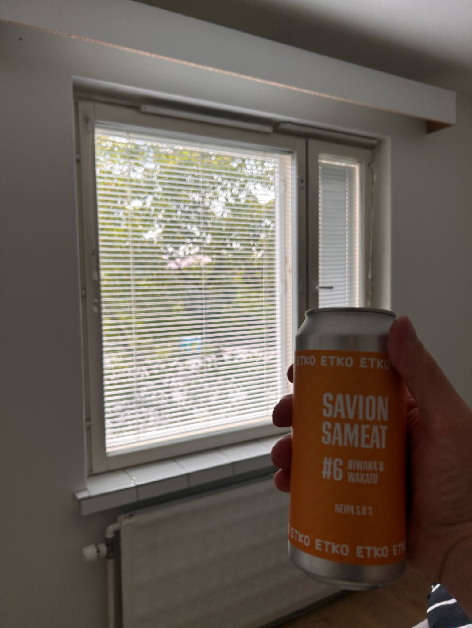Savion Sameat #6, Finland