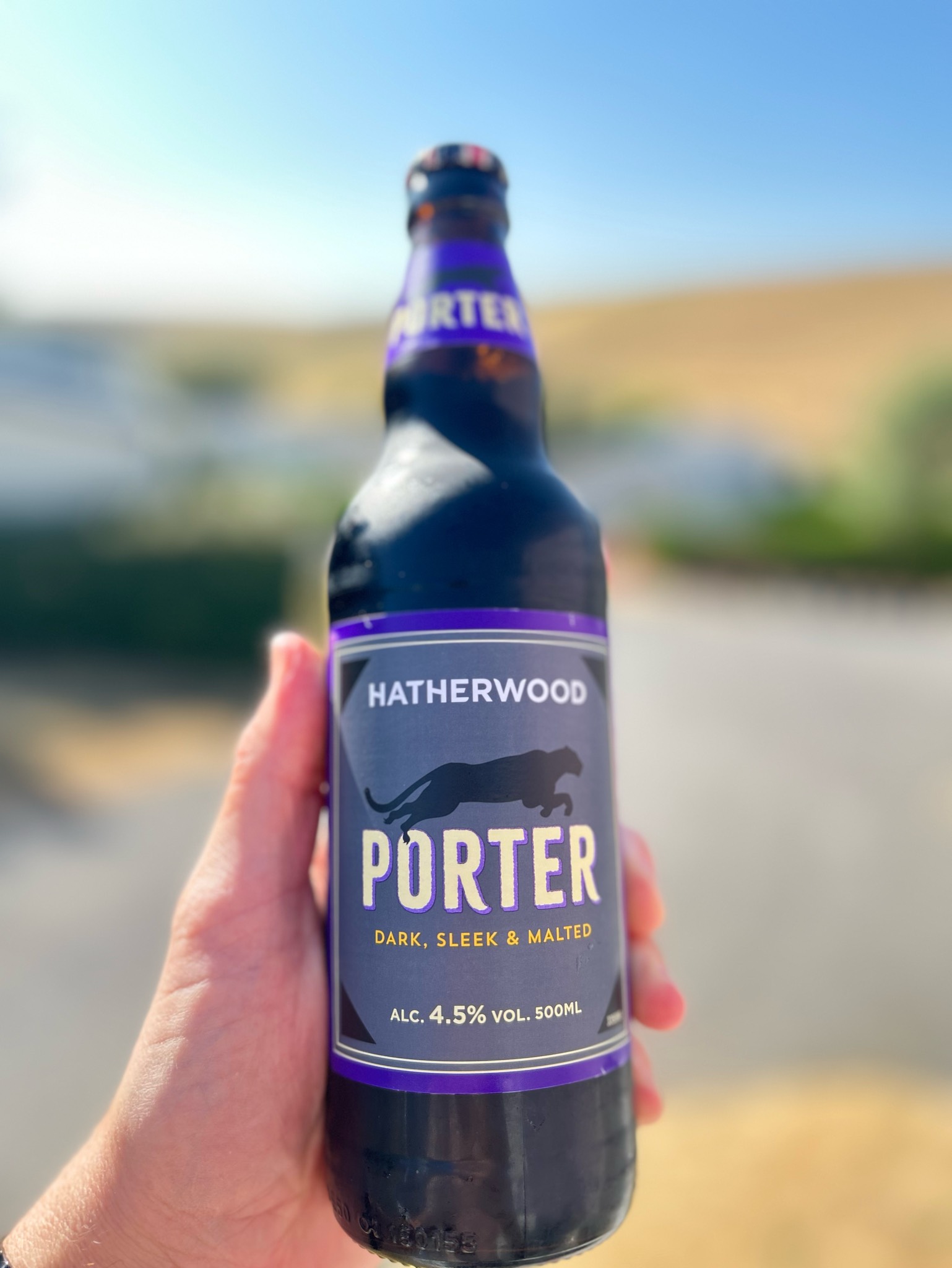 Hatherwood Porter, Lidl Stores UK