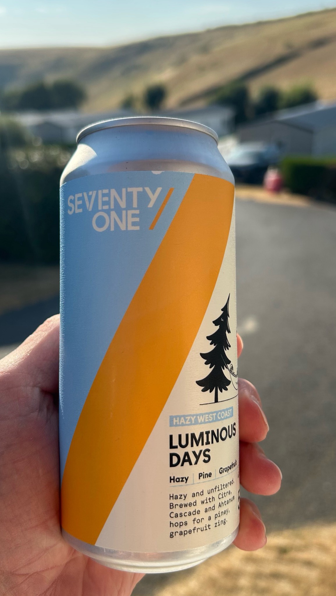 Luminous days, 71 Brewing