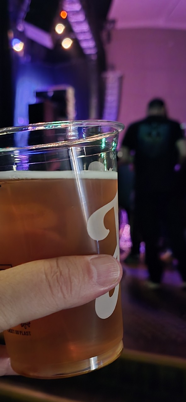 Hansa Pilsner, Hansa Borg Bryggerier (Royal Unibrew)