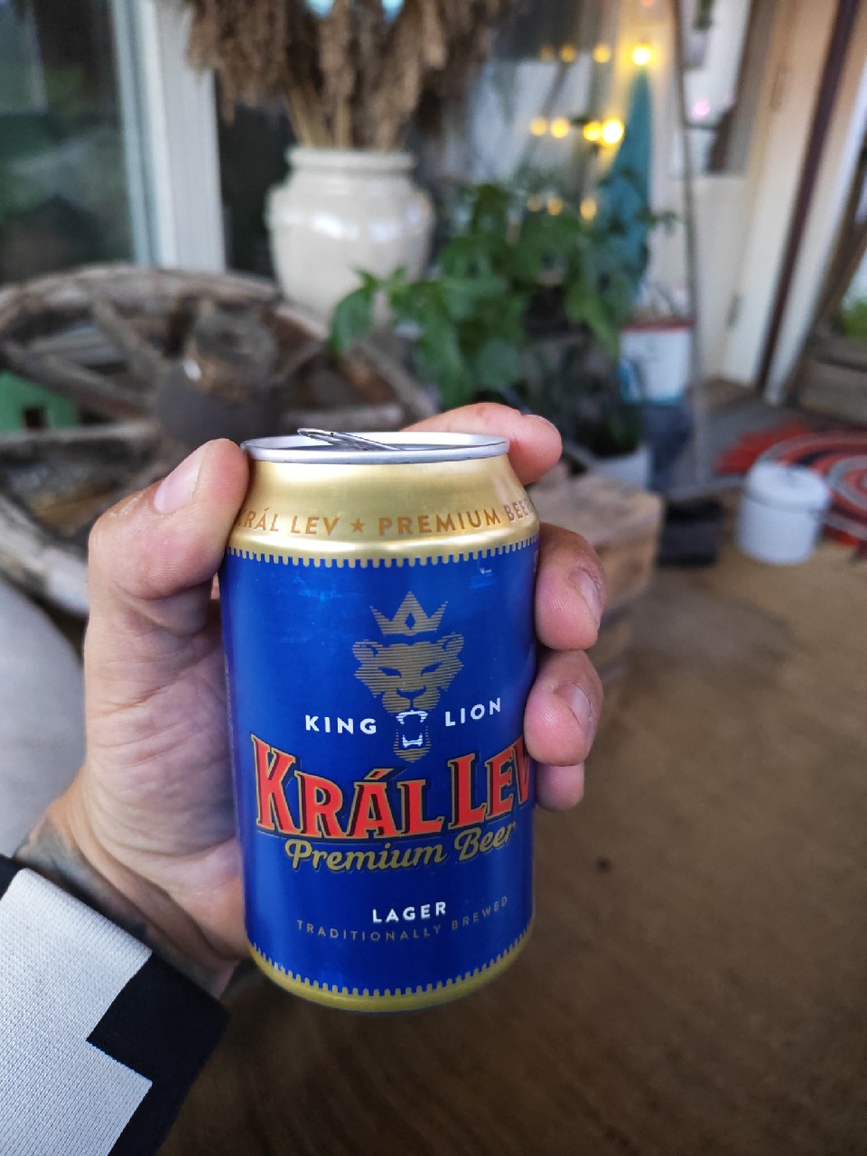 Král Lev, Czech Republic