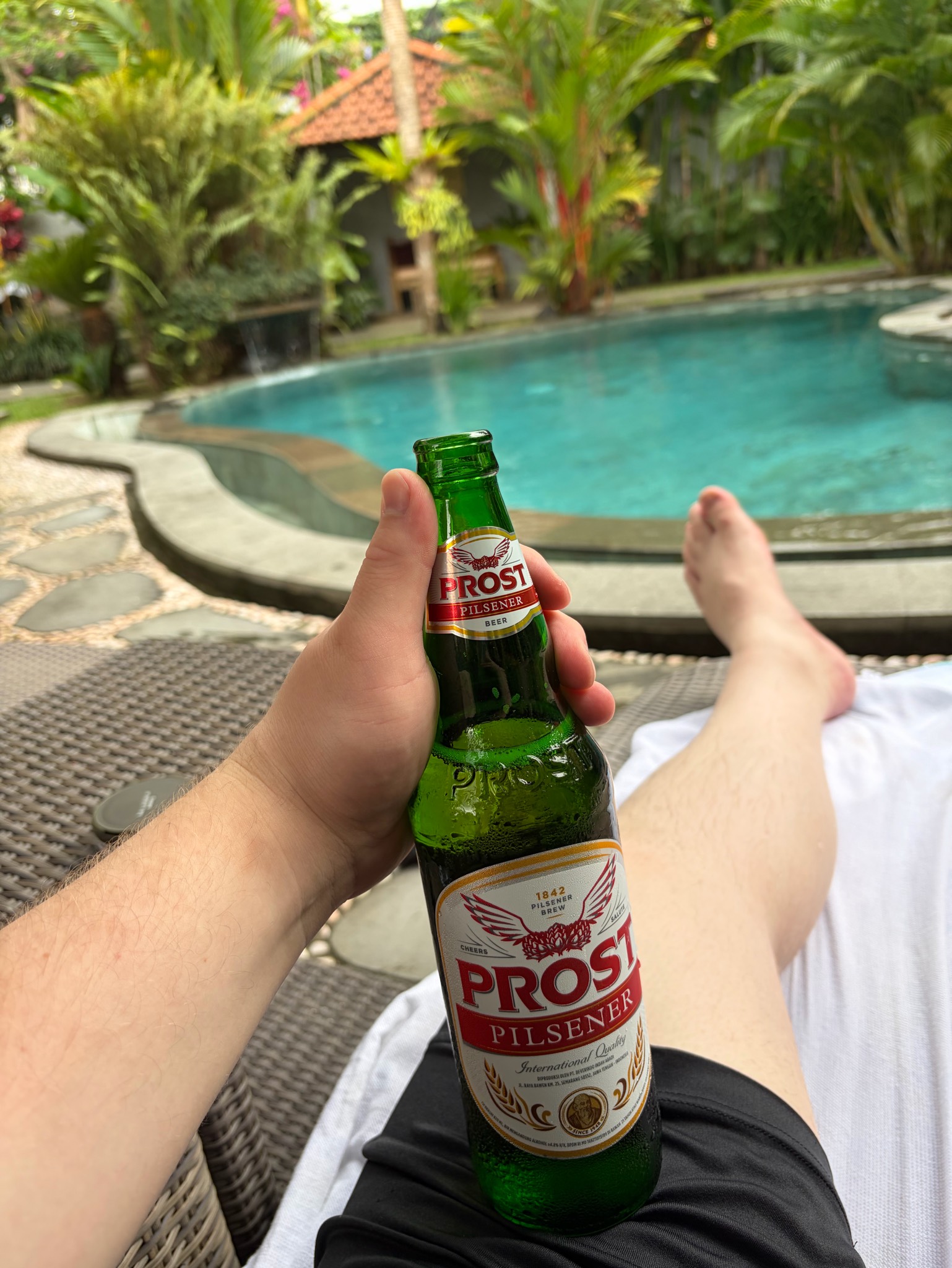 Prost Pilsener, Prost Beer