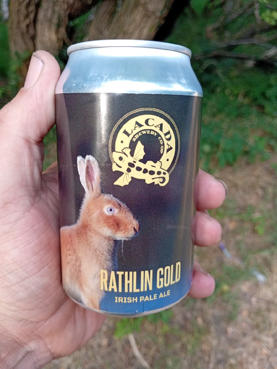 Rathlin Gold, Lacada Brewery Ltd