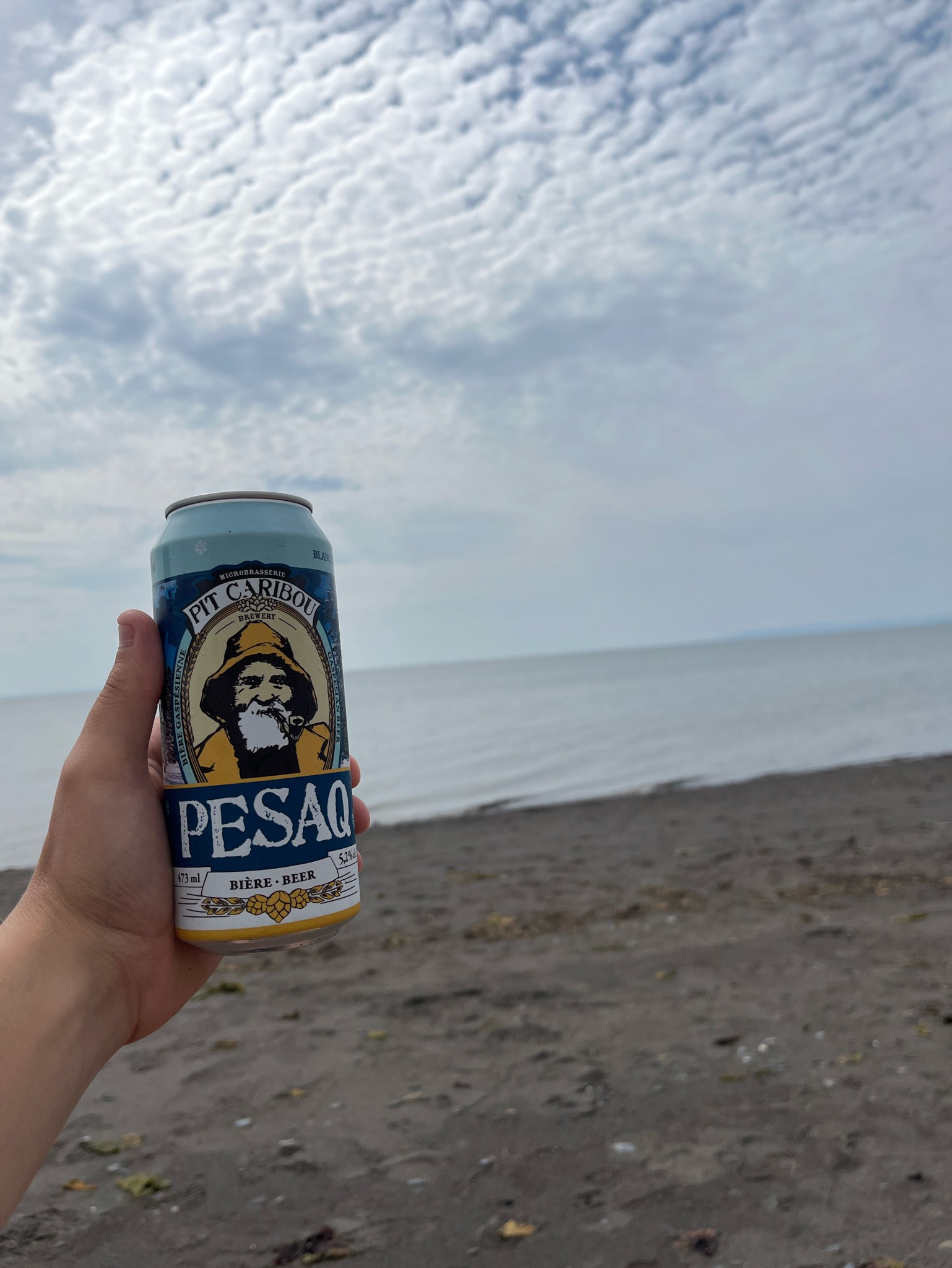 Pesaq, Microbrasserie Pit Caribou