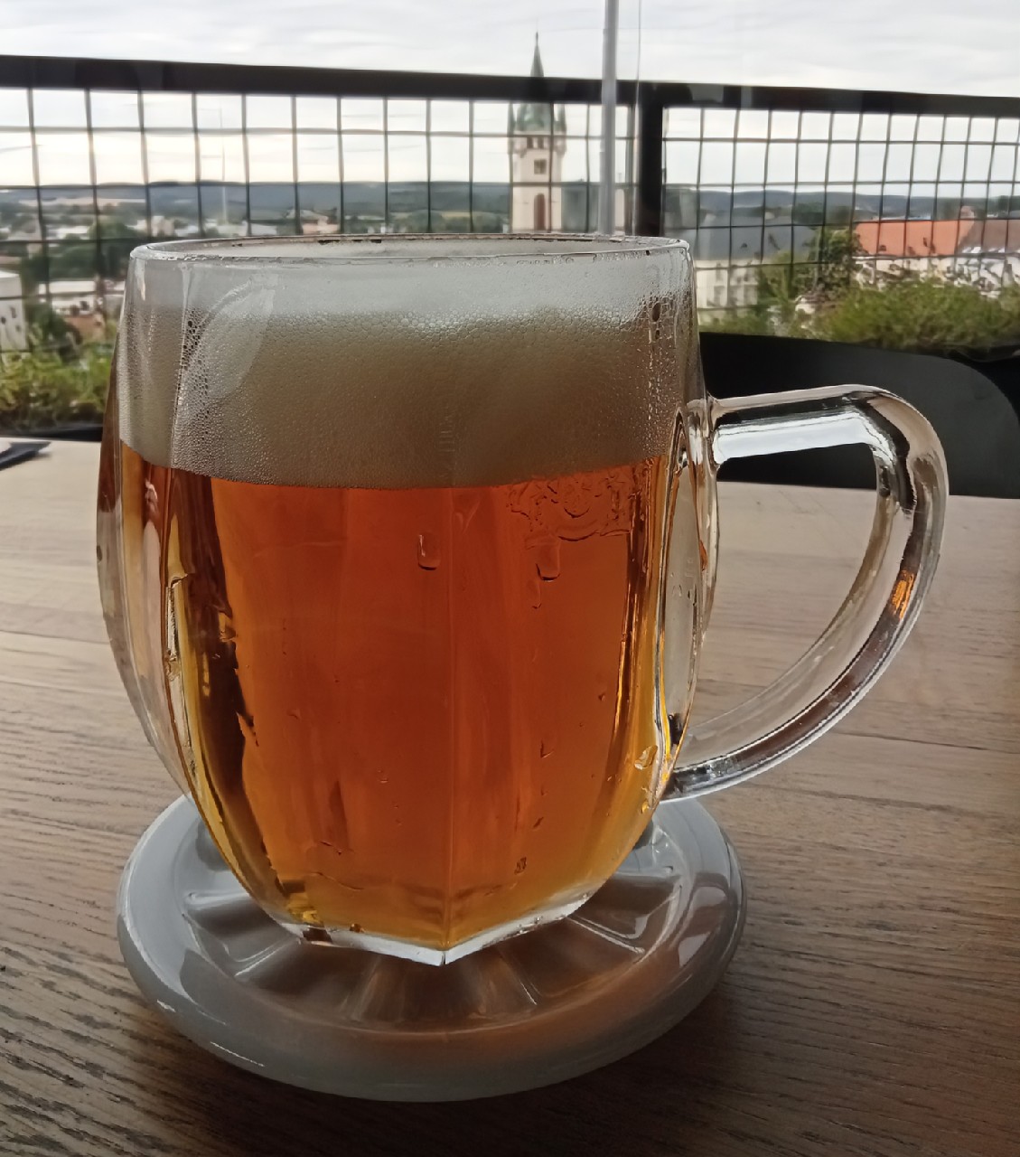 Bohemian Lager / Světlý Ležák 11°, Czech Republic