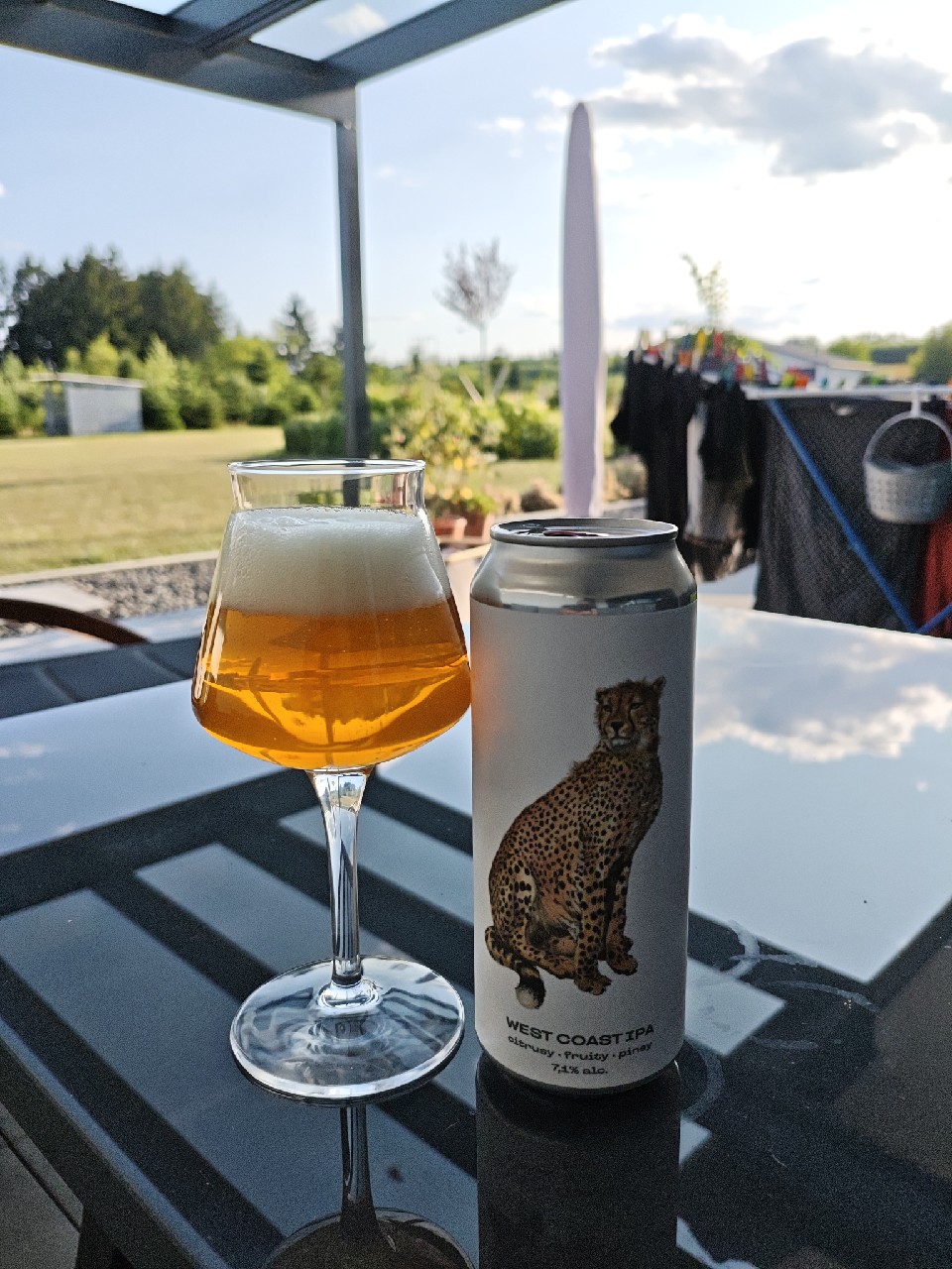 cheetah, Austria