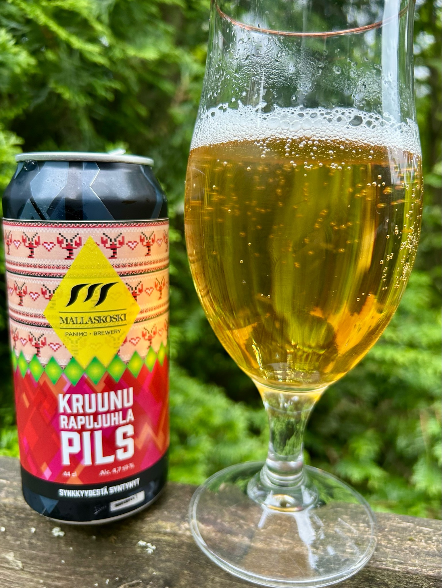Kruunu Rapujuhla Pils, Finland