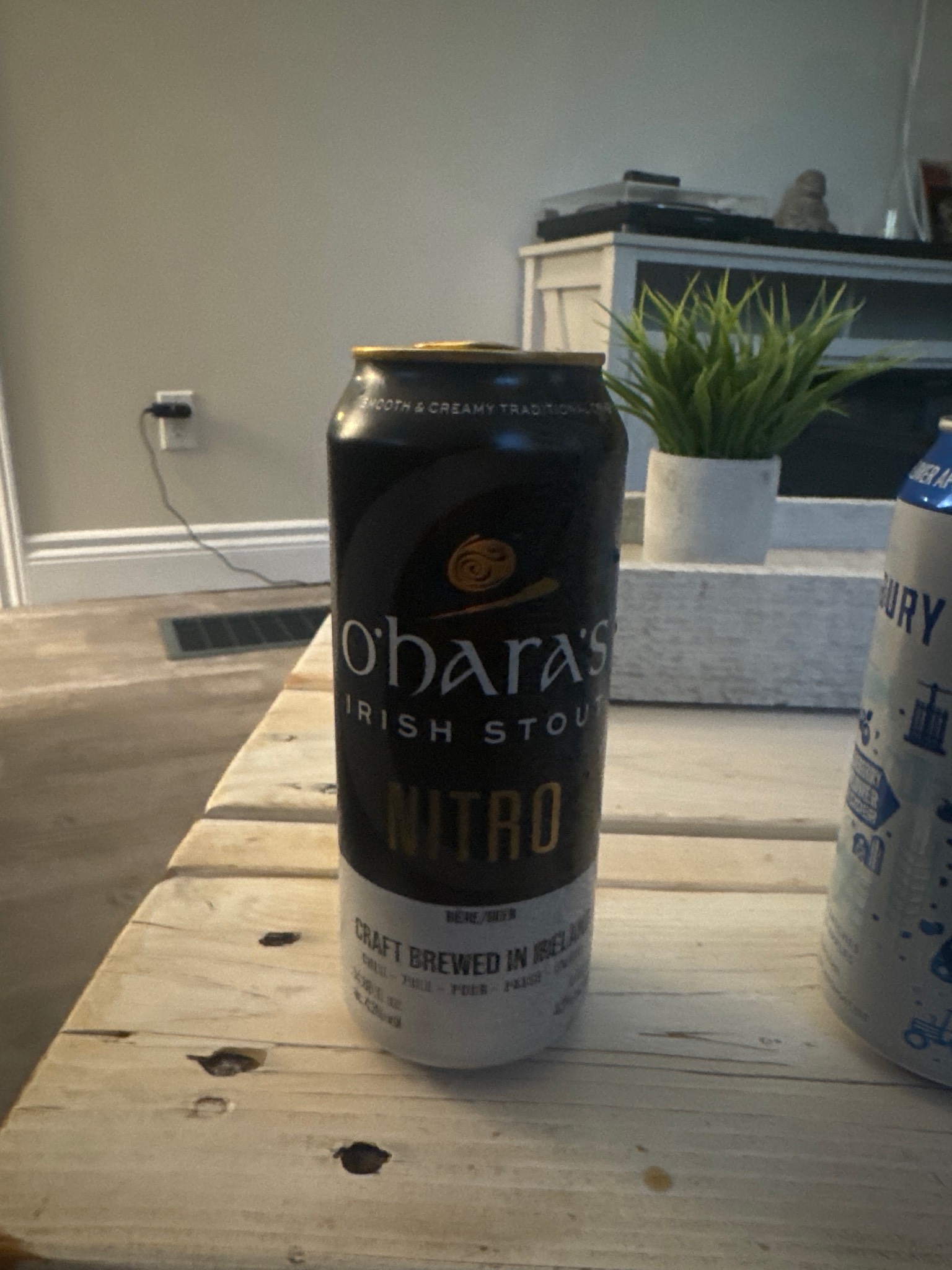 O'Hara's Irish Stout Nitro, O'Hara's Brewery (Carlow Brewing Company)