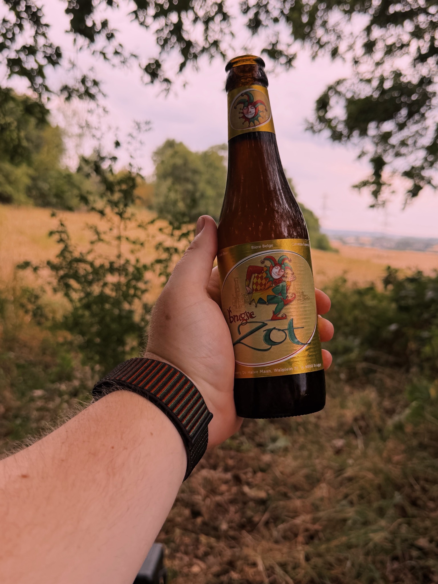 Brugse Zot, Belgium