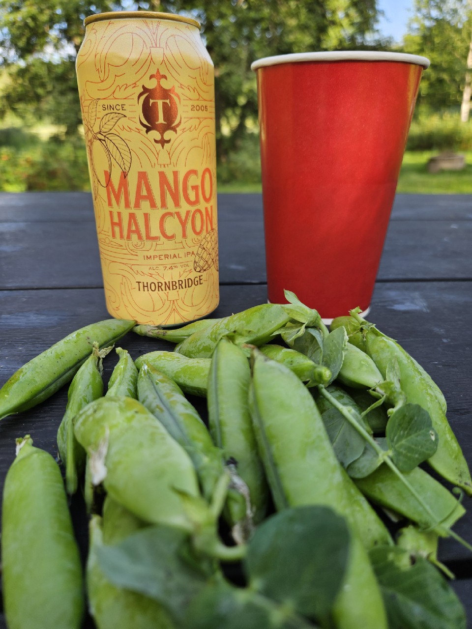 Mango Halcyon, England