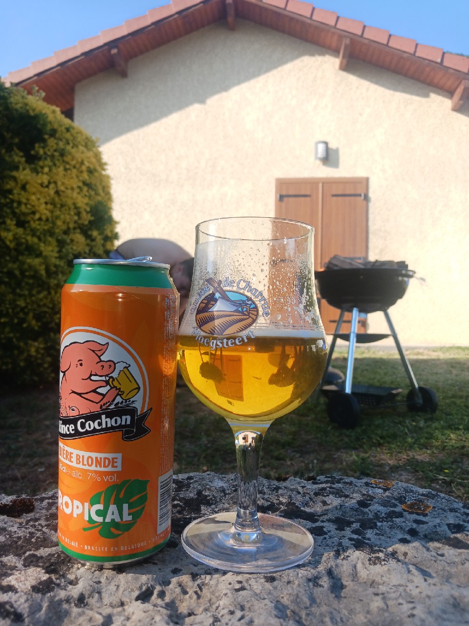 Rince cochon tropical, Belgium