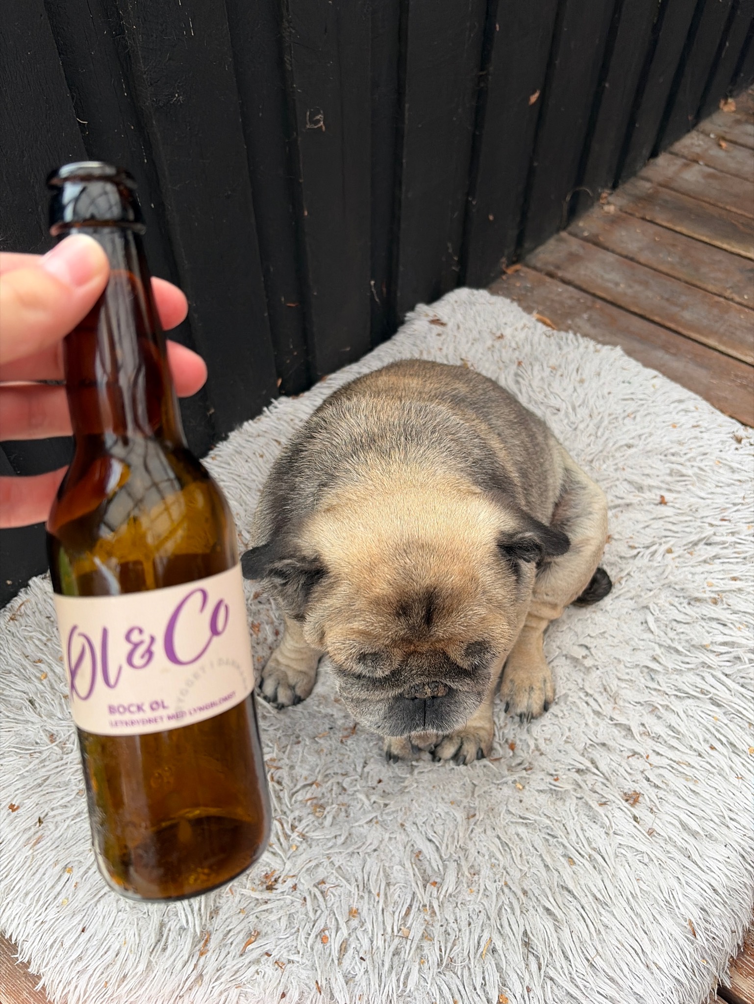 Øl & Co Bock, Skanderborg Bryghus