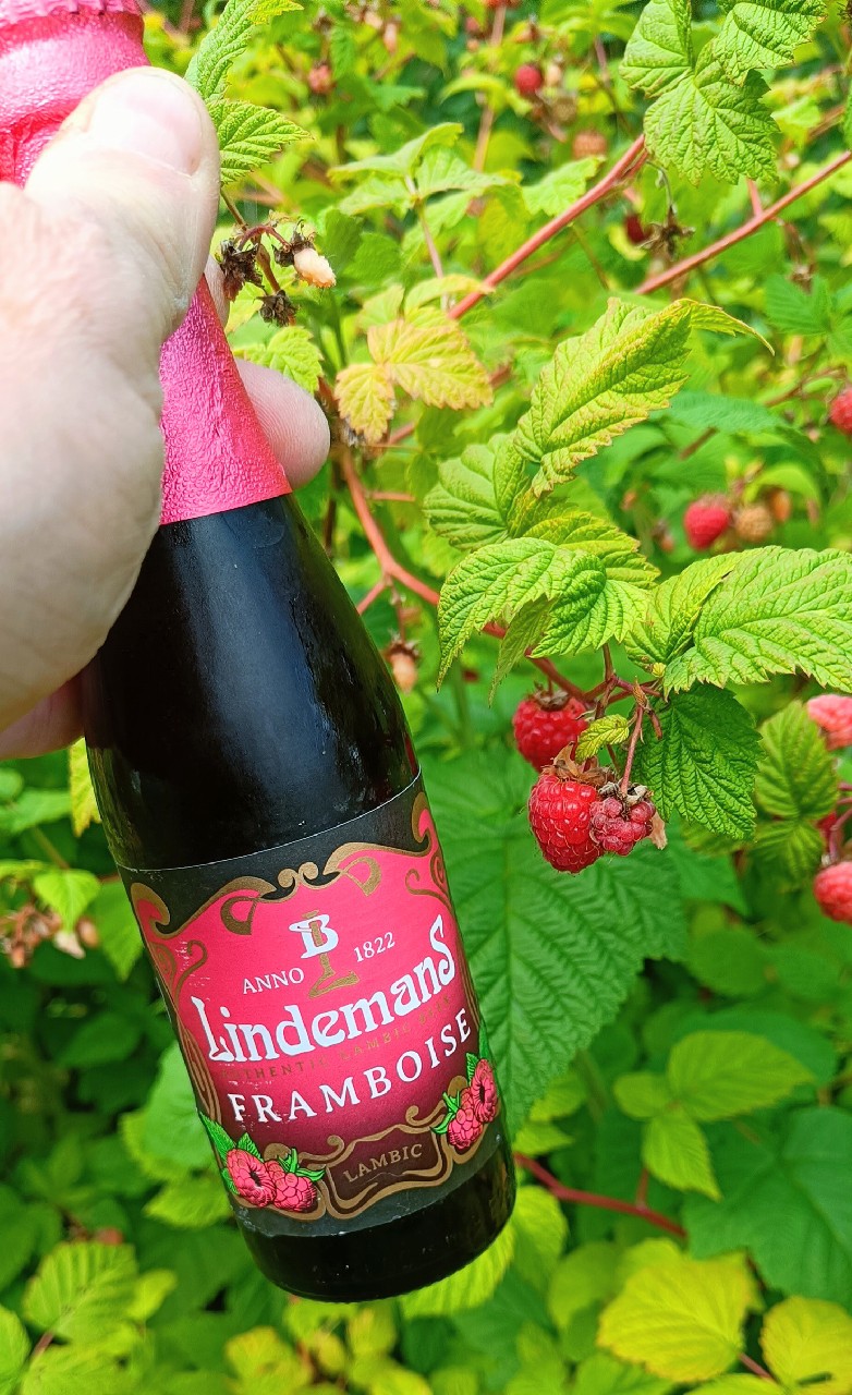Lindemans Framboise, Brouwerij Lindemans