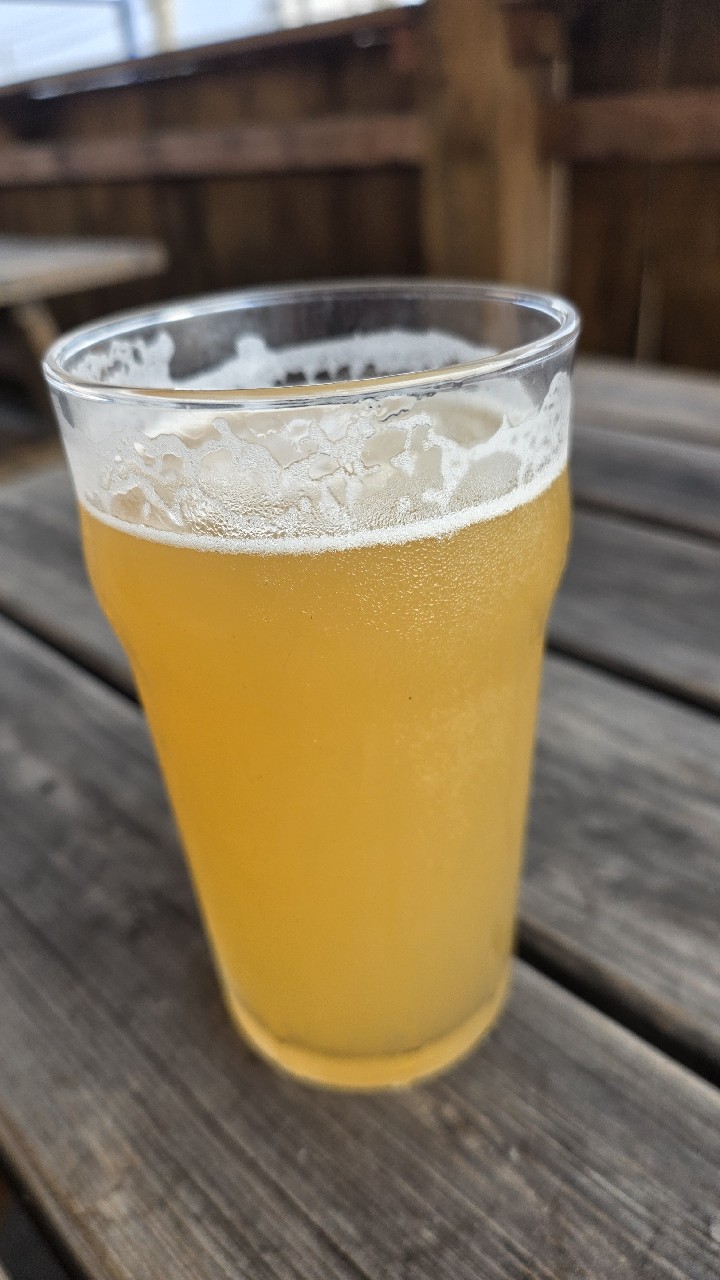 Pays Flamand X Piggy Brewing - West Coast DIPA, France