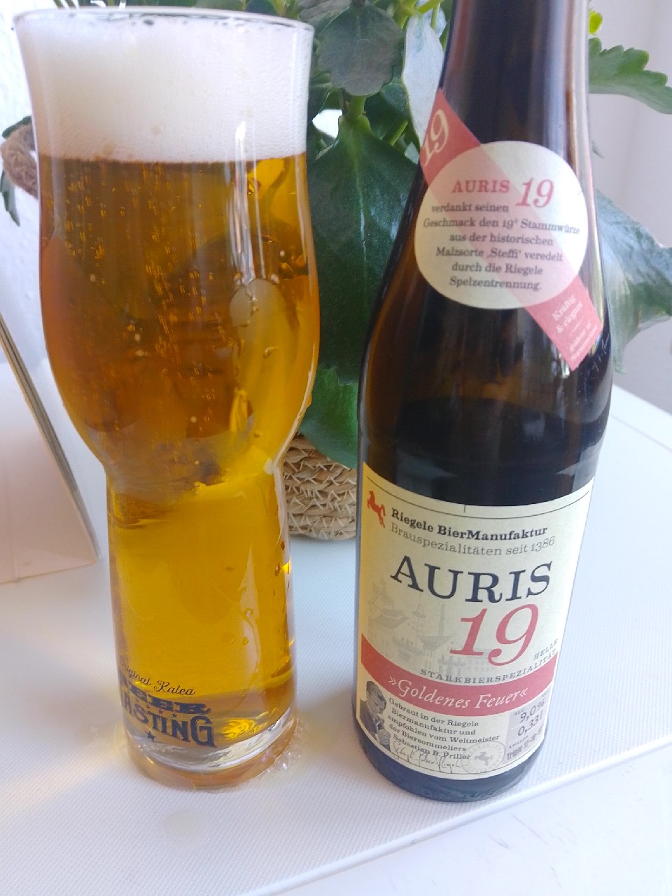 Auris 19, Brauhaus Riegele