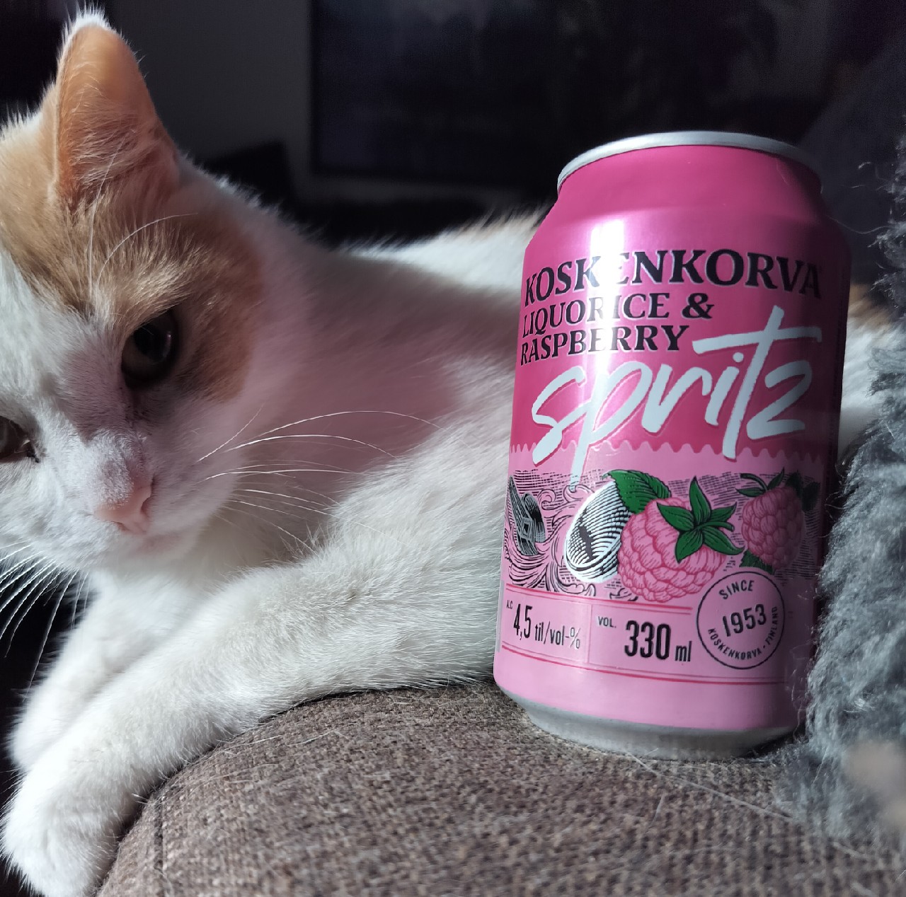 Koskenkorva Liquorice & Raspberry Spritz, Anora Group