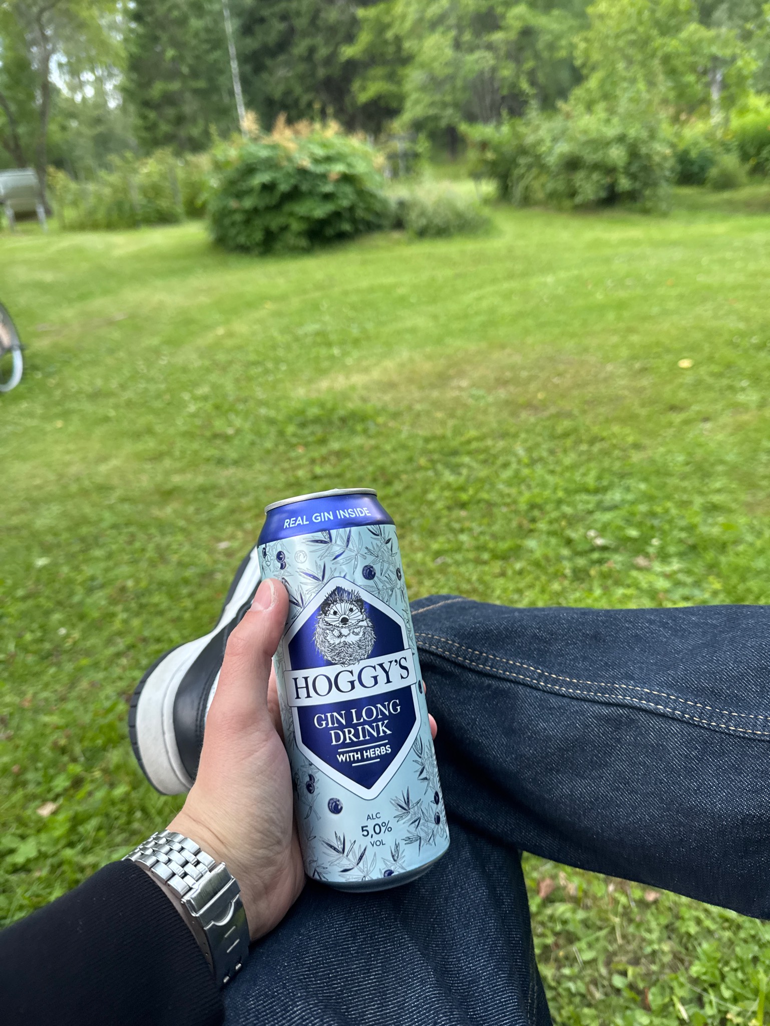 Hoggy's Gin Long Drink with Herbs, Estonia